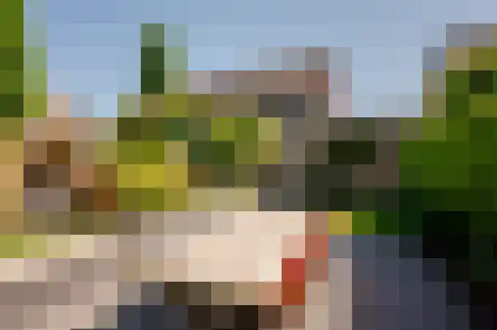 Kievit 2 Elburg thumbnail 28