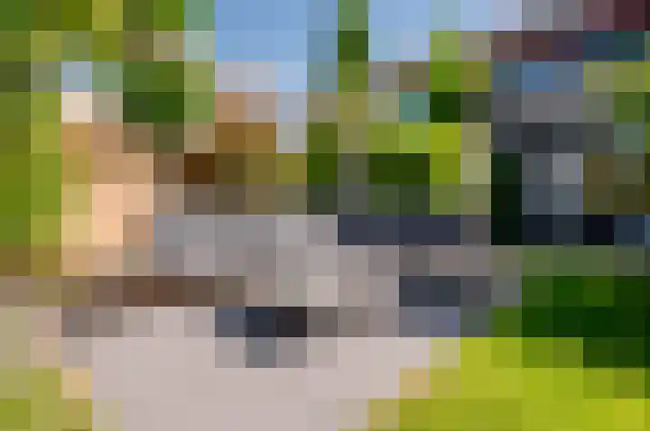 Kievit 2 Elburg thumbnail 29