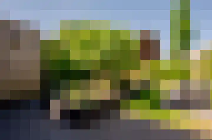 Kievit 2 Elburg thumbnail 30