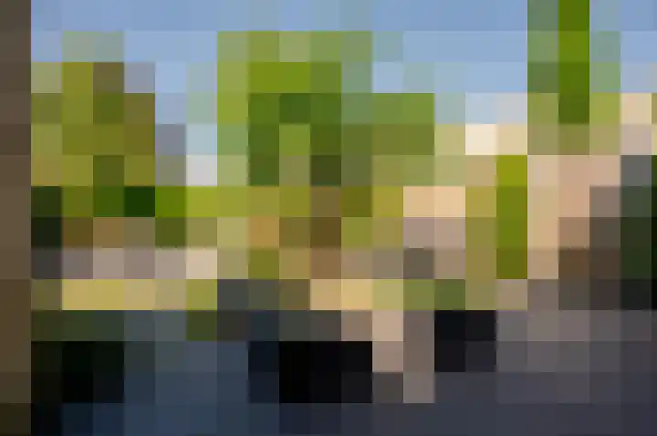 Kievit 2 Elburg thumbnail 31
