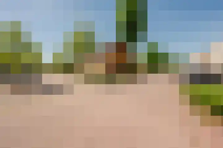 Kievit 2 Elburg thumbnail 34