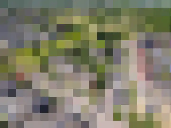 Kievit 2 Elburg thumbnail 35
