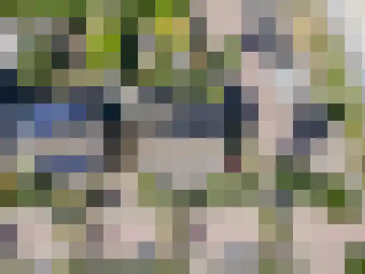 Kievit 2 Elburg thumbnail 36