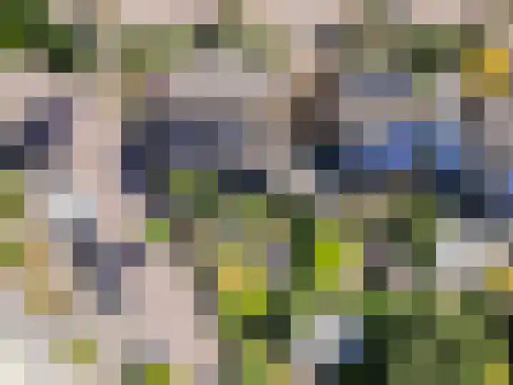 Kievit 2 Elburg thumbnail 37