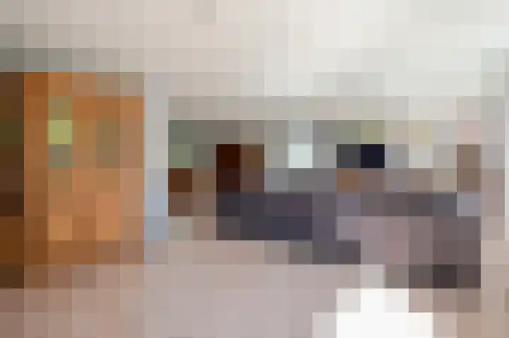 Kievit 2 Elburg thumbnail 6