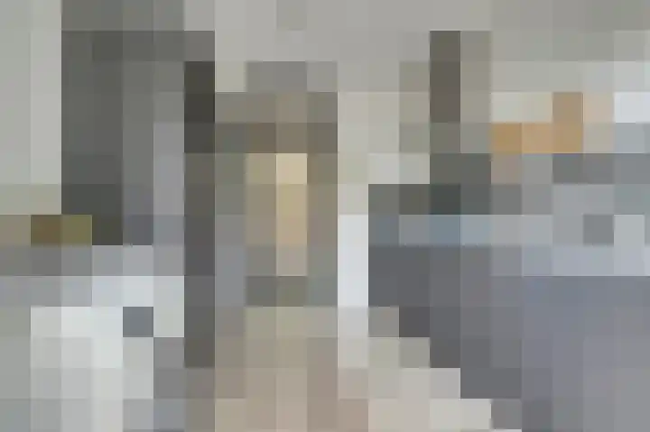 Kievit 20 Gouderak thumbnail 10
