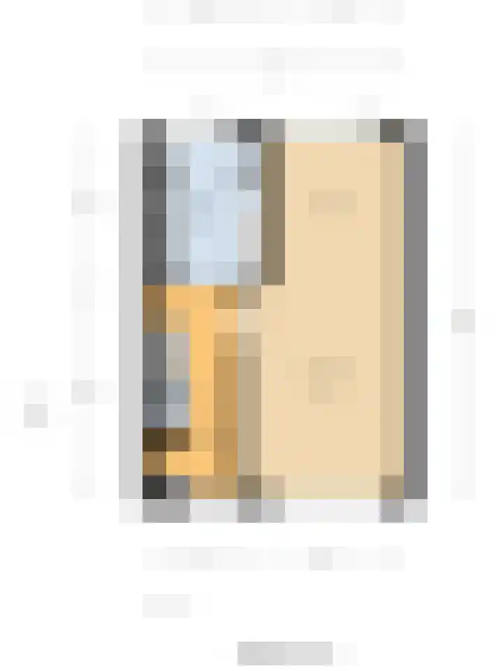 Kievit 20 Gouderak thumbnail 12