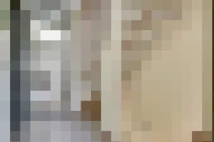 Kievit 20 Gouderak thumbnail 13
