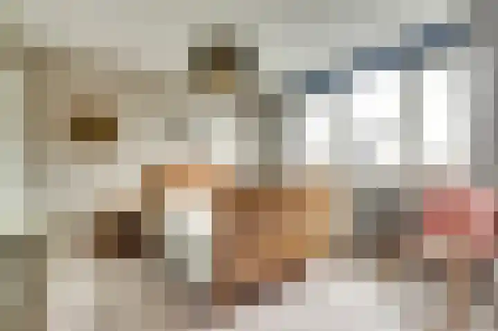 Kievit 20 Gouderak thumbnail 14