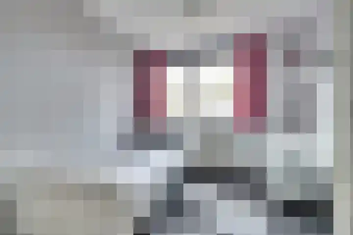 Kievit 20 Gouderak thumbnail 15