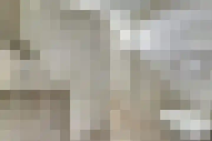Kievit 20 Gouderak thumbnail 17