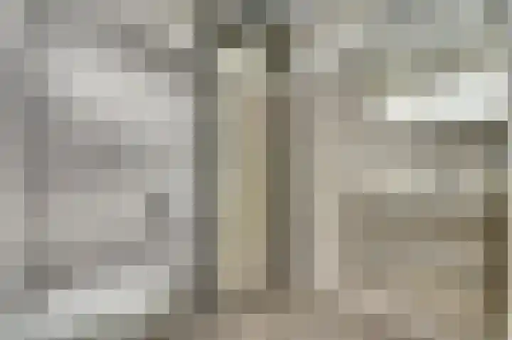 Kievit 20 Gouderak thumbnail 18