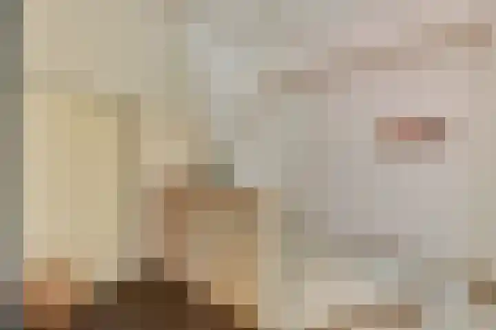 Kievit 20 Gouderak thumbnail 21