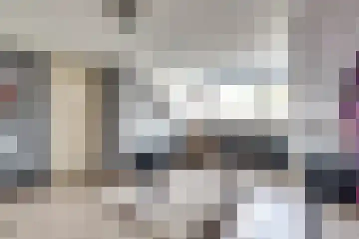 Kievit 20 Gouderak thumbnail 22