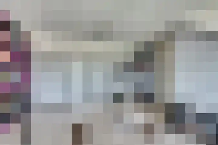 Kievit 20 Gouderak thumbnail 23