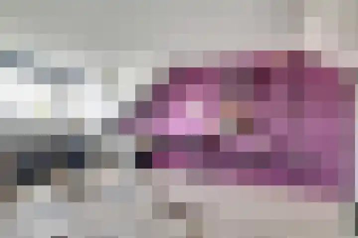 Kievit 20 Gouderak thumbnail 24