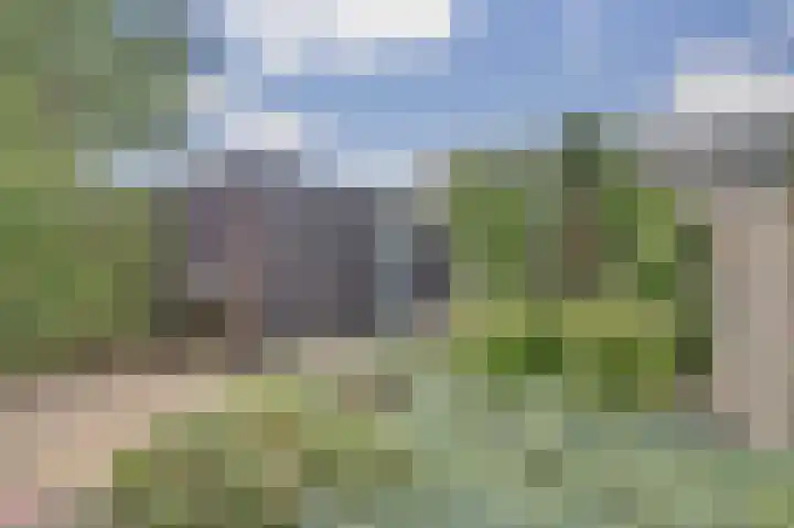 Kievit 20 Gouderak thumbnail 27