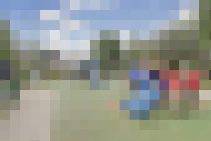 Kievit 20 Gouderak thumbnail 30