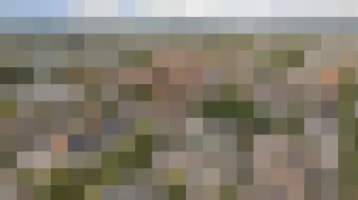 Kievit 20 Gouderak thumbnail 31