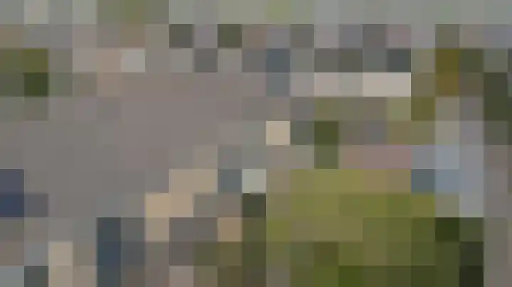 Kievit 20 Gouderak thumbnail 32