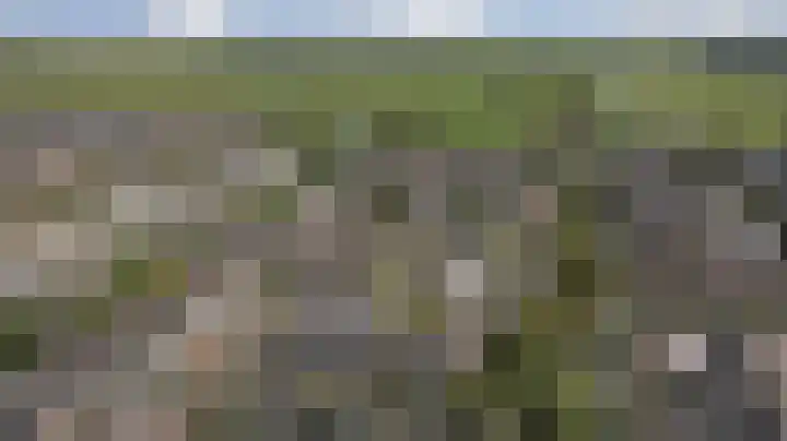 Kievit 20 Gouderak thumbnail 33