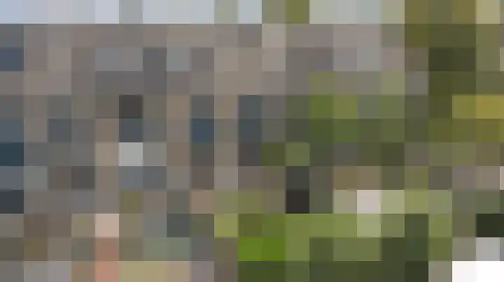Kievit 20 Gouderak thumbnail 34