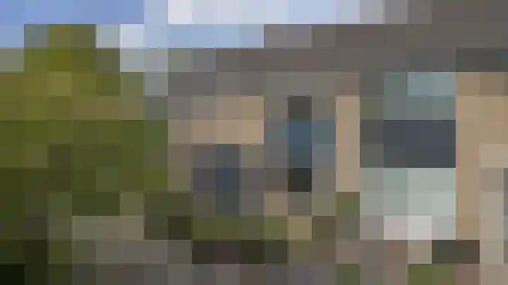 Kievit 20 Gouderak thumbnail 4