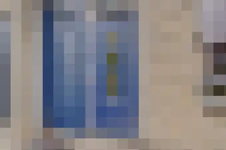 Kievit 20 Gouderak thumbnail 5