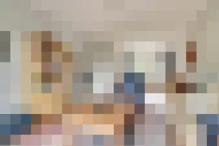 Kievit 20 Gouderak thumbnail 6