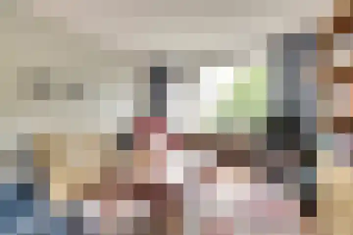Kievit 20 Gouderak thumbnail 7