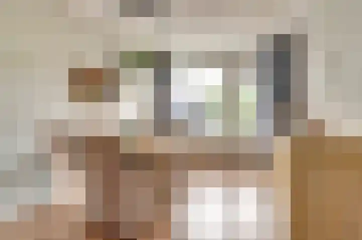 Kievit 20 Gouderak thumbnail 8