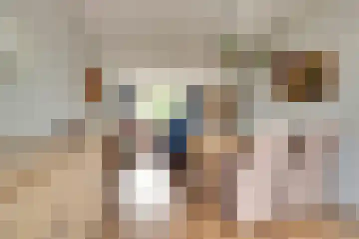 Kievit 20 Gouderak thumbnail 9