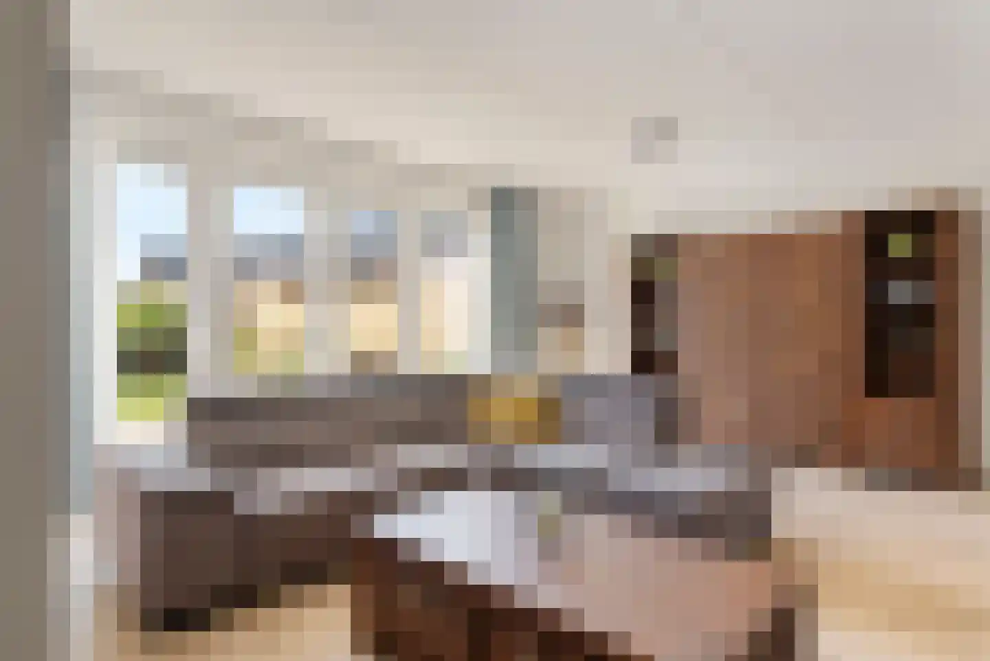Kievit 20 Maurik thumbnail 10