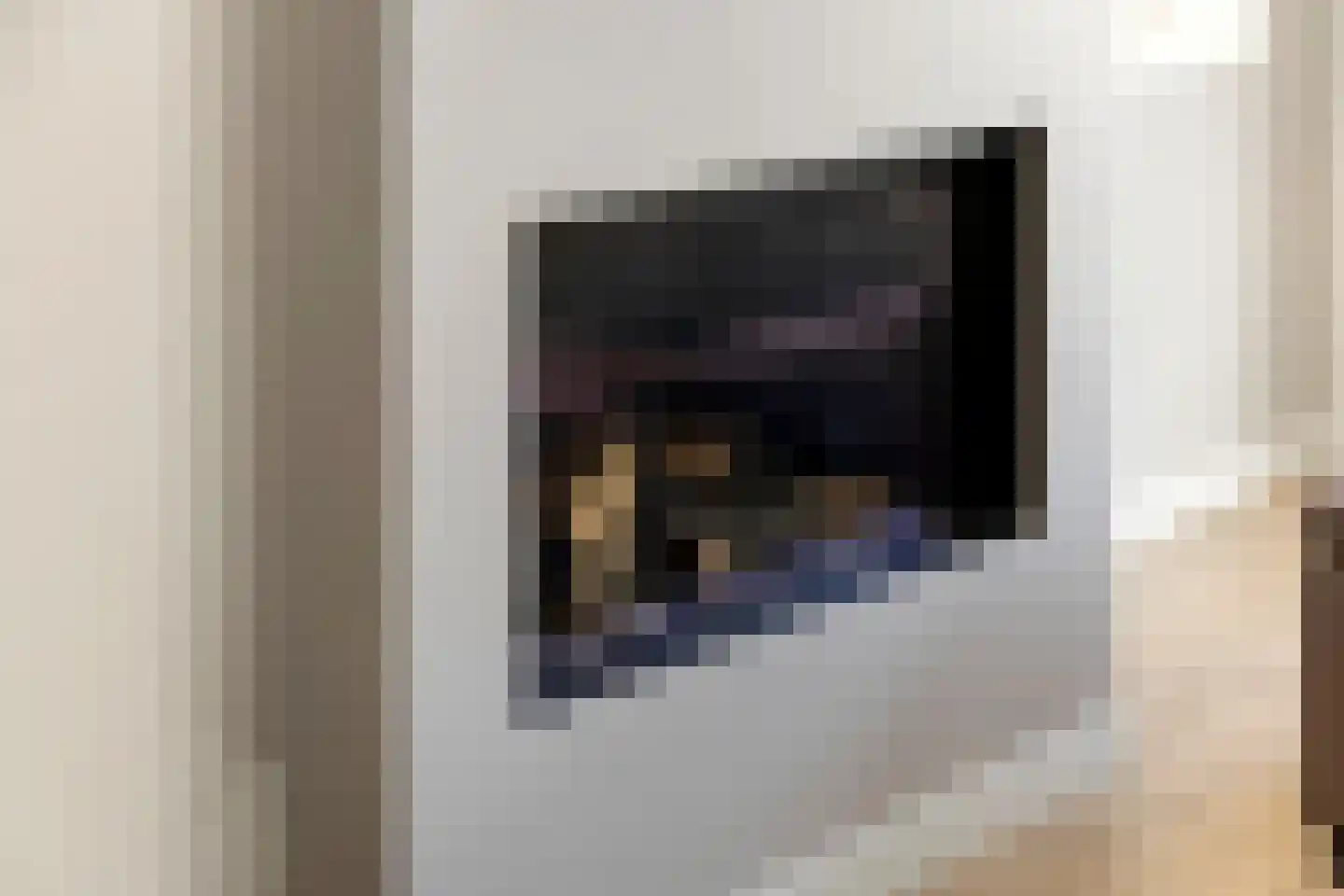 Kievit 20 Maurik thumbnail 12