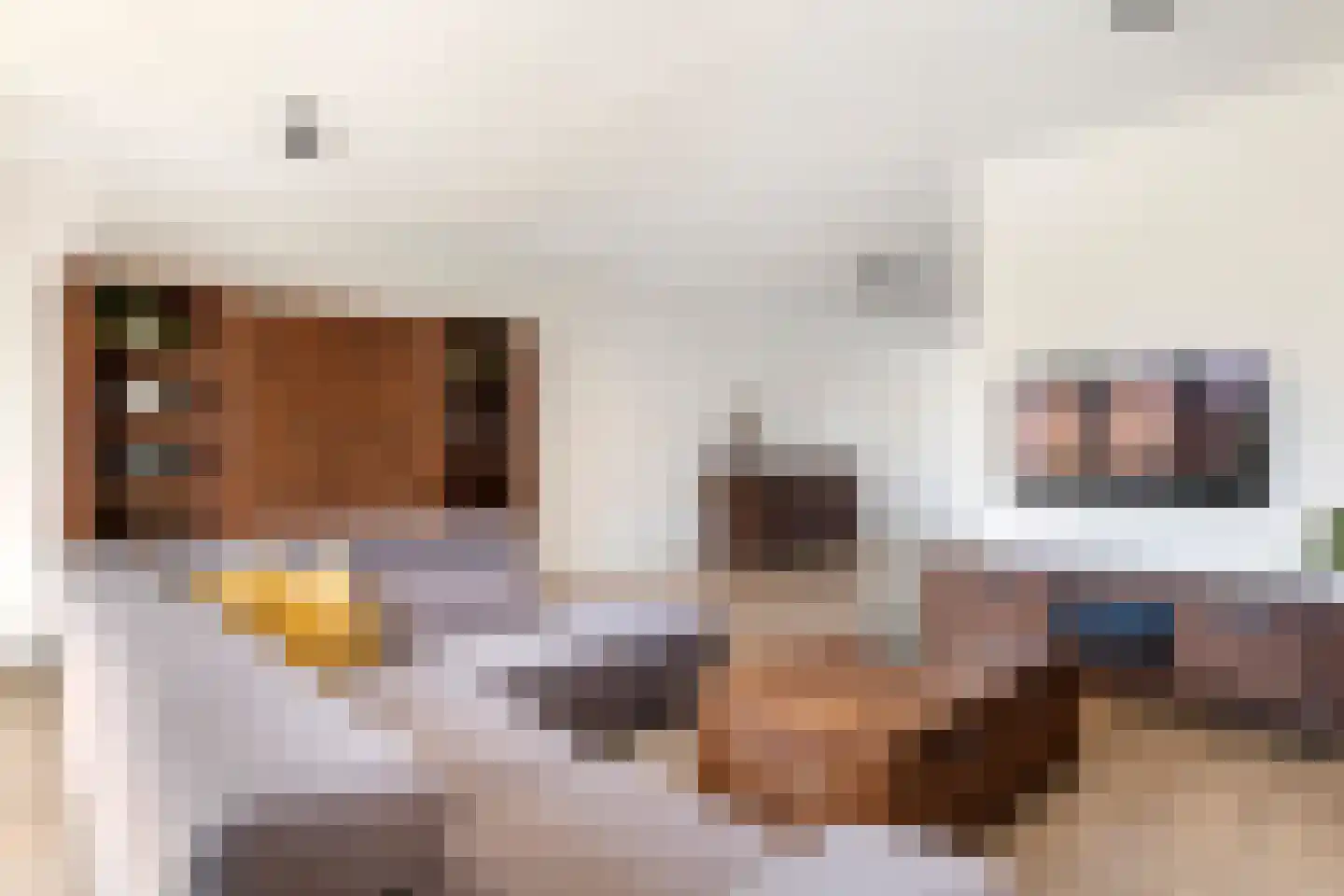 Kievit 20 Maurik thumbnail 14