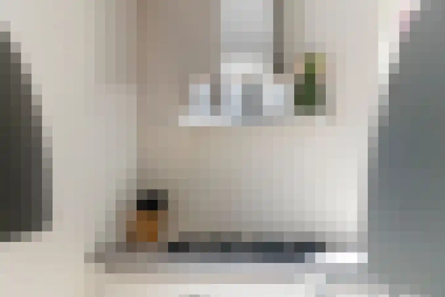 Kievit 20 Maurik thumbnail 20