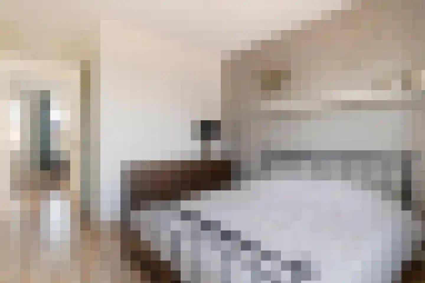 Kievit 20 Maurik thumbnail 27