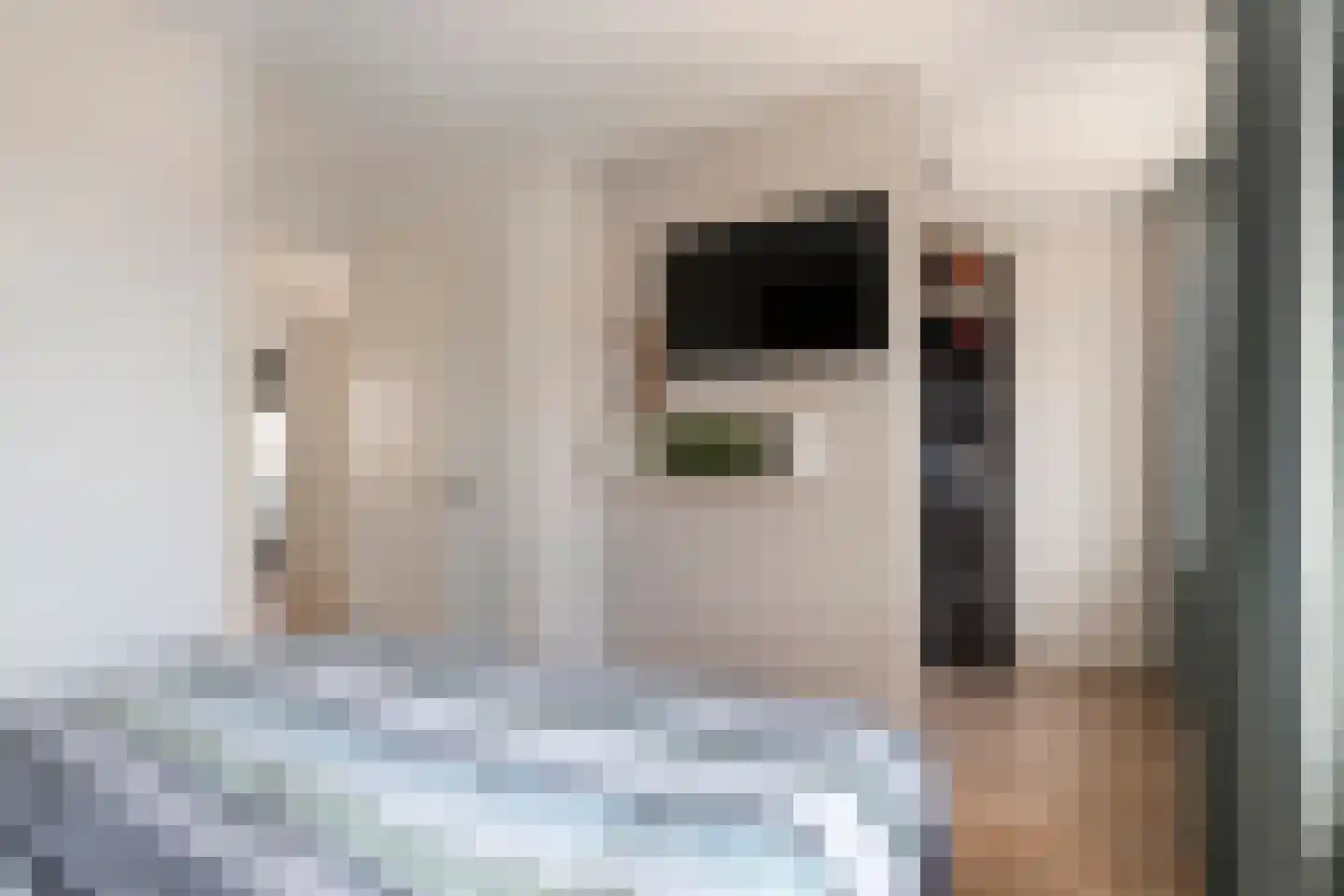 Kievit 20 Maurik thumbnail 33