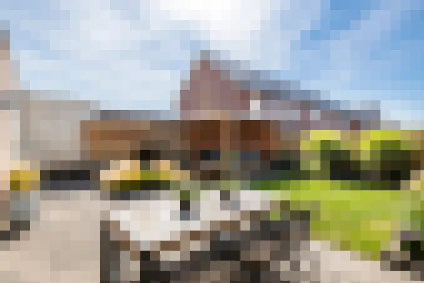 Kievit 20 Maurik thumbnail 38