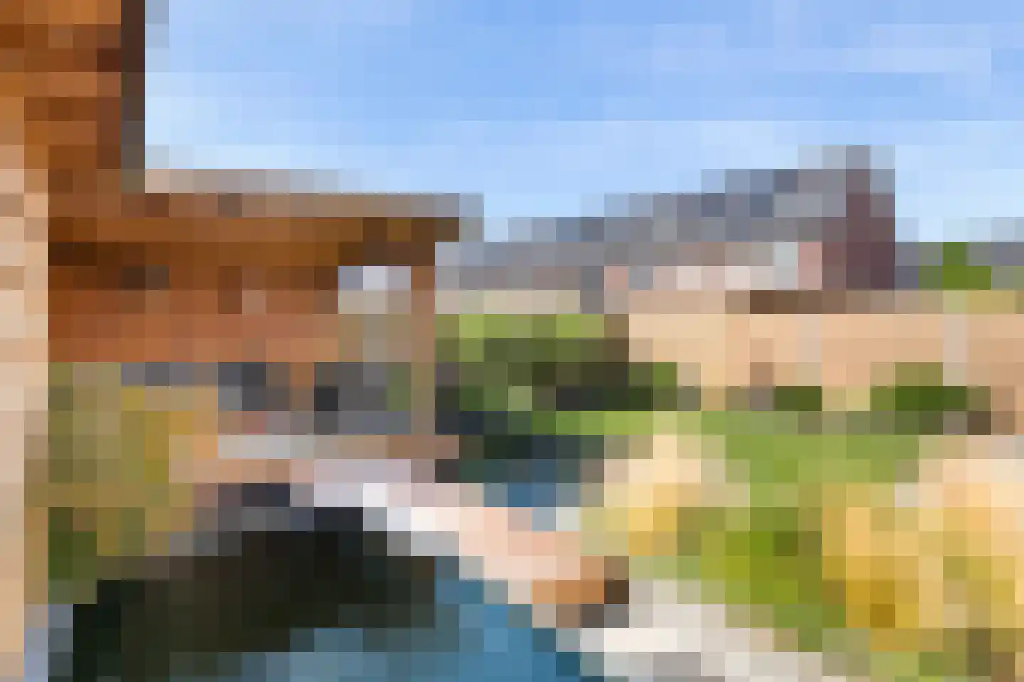 Kievit 20 Maurik thumbnail 4