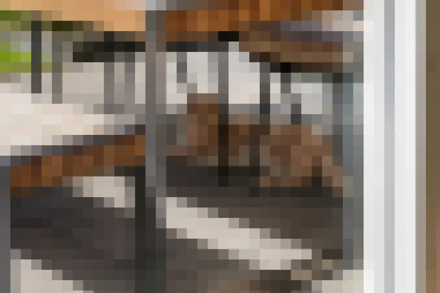 Kievit 20 Maurik thumbnail 41
