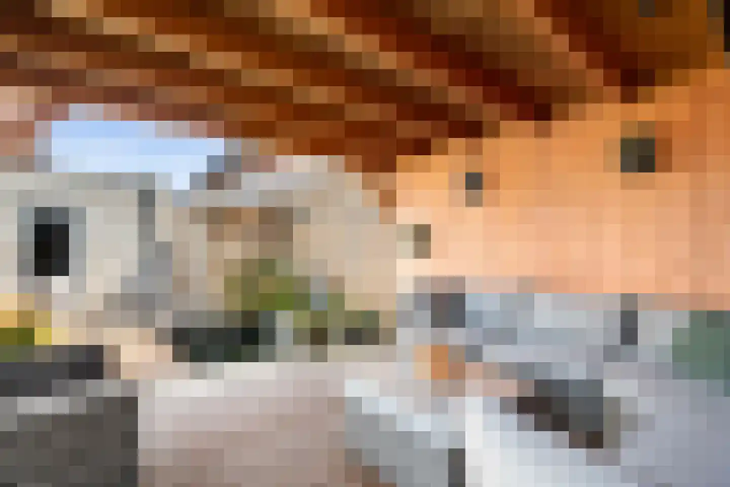Kievit 20 Maurik thumbnail 42