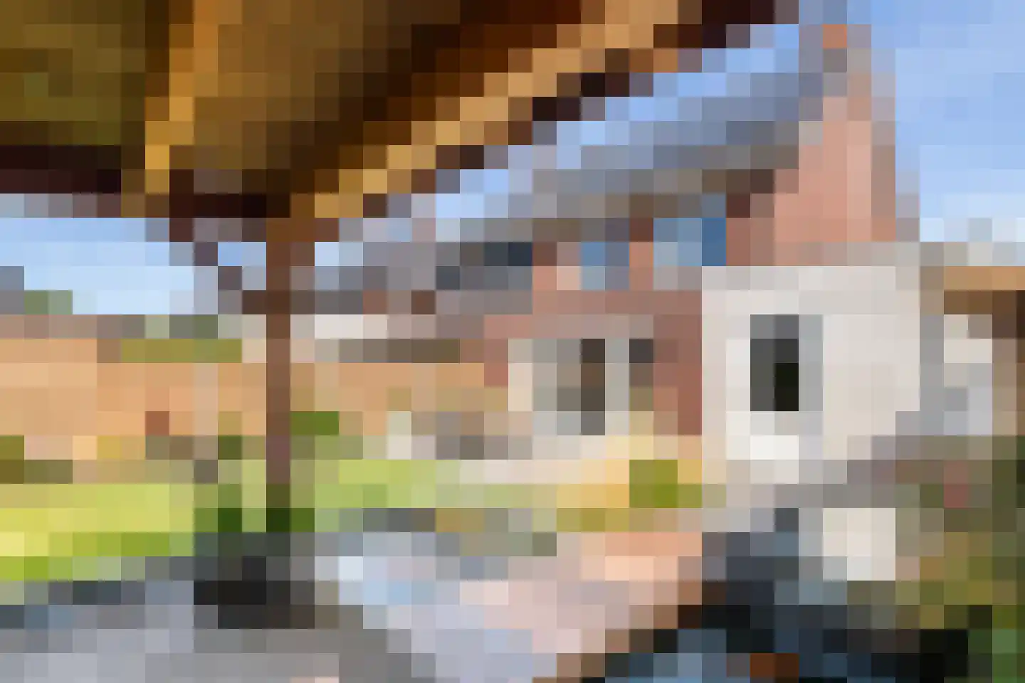 Kievit 20 Maurik thumbnail 44