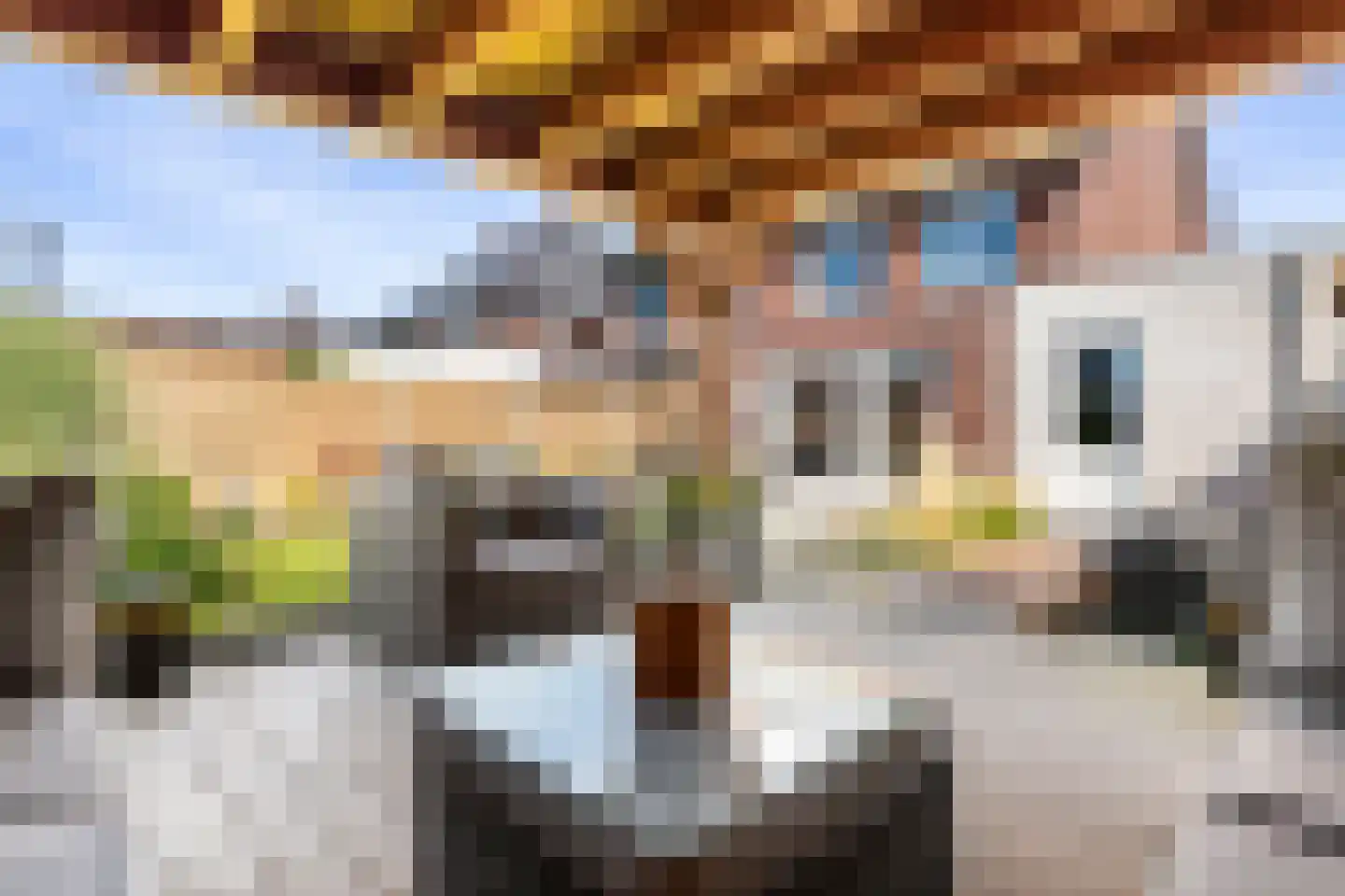 Kievit 20 Maurik thumbnail 45