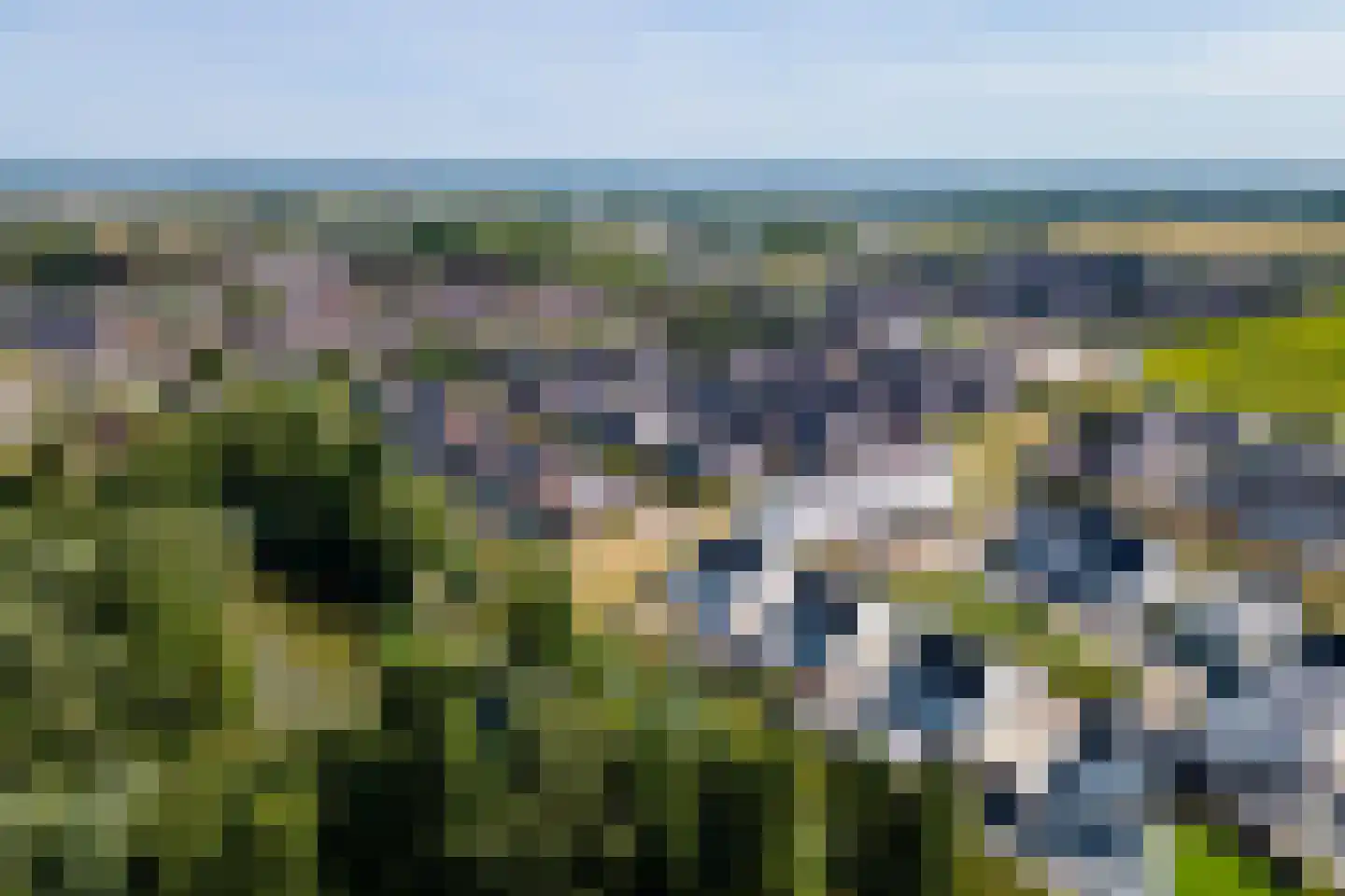 Kievit 20 Maurik thumbnail 51