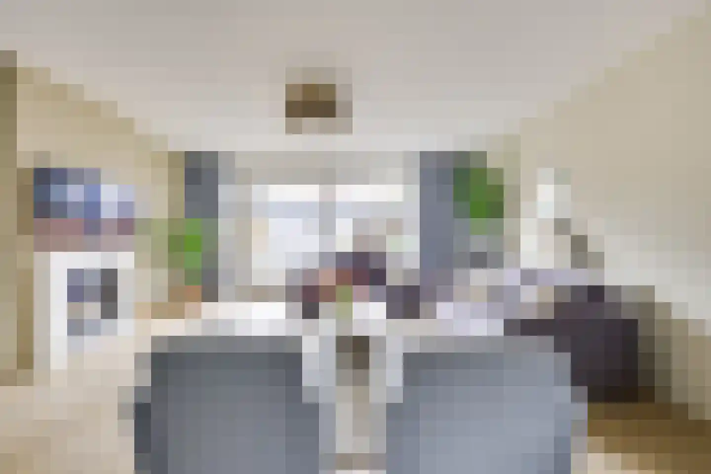 Kievit 22 Doorn thumbnail 10