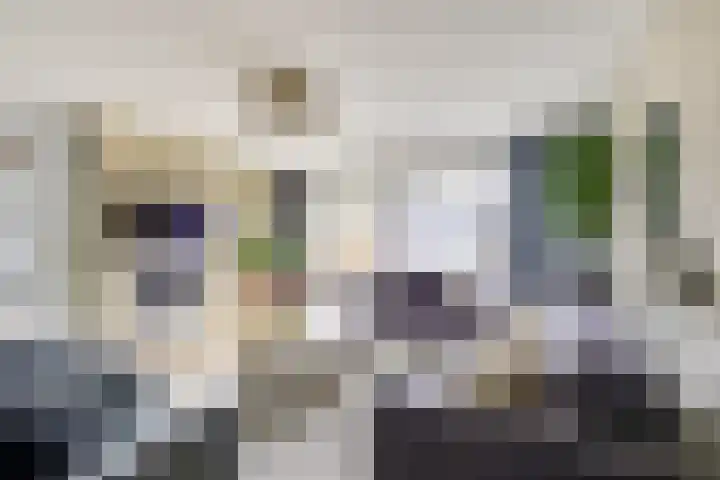 Kievit 22 Doorn thumbnail 11