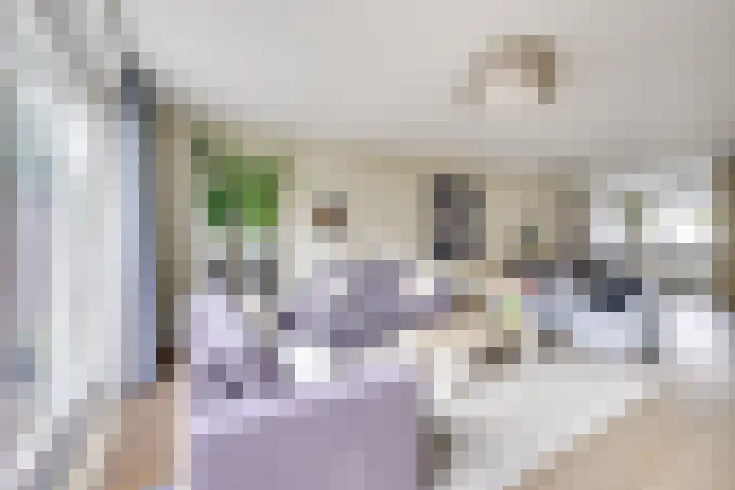 Kievit 22 Doorn thumbnail 14