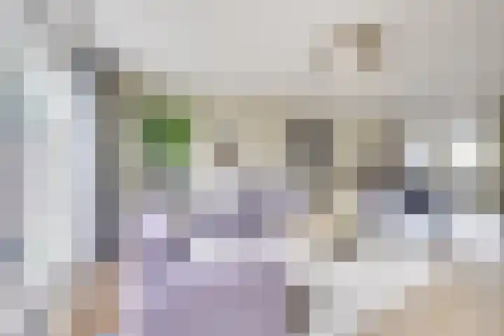Kievit 22 Doorn thumbnail 14