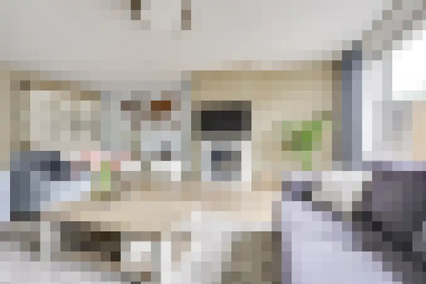Kievit 22 Doorn thumbnail 15